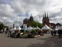 Katholikentag 2024024